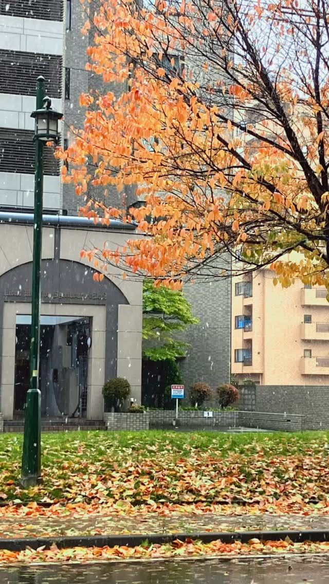 こんにちは、　アワーズワーク桑園です。　昨日から雪をり、秋の終わりに近づいて来ました。冬の準備は出来ましたか？

アセップ

 #札幌市 #札幌  #札幌市中央区 #中央区 #桑園 #ミニ大通り#就労継続支援b型事業所 #就労継続支援 #就労B#b型 #ハンドメイド #ランチ #ペットボトル #リサイクル #送迎#雪#秋#初雪#冬
利用者募集中！
見学だけでも🆗です。
お気軽にお問合せ下さい。
お問合せは
☎️08040411877 担当ホンマ