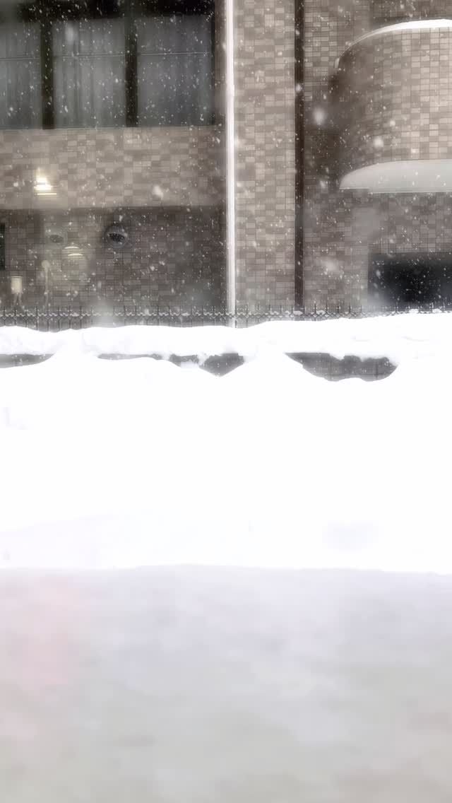 こんにちは、アワーズワーク桑園です。
1月最終日に雪は降ります。
雪掻きをしている皆さん、気をつけてください。
雪で出かけたく無いけど作業したい皆さん、連絡お待ちしてます。　編み物、小物フェルト、様々な作業ございますので、なんでも聞いて下さい。　雪道でも送迎に行きます。

利用者募集中！
見学だけでも🆗です。
お気軽にお問合せ下さい。
お問合せは
☎️08040411877 担当ホンマ
* 

#雪道#作業#雪は降る #就労継続支援b型 #札幌