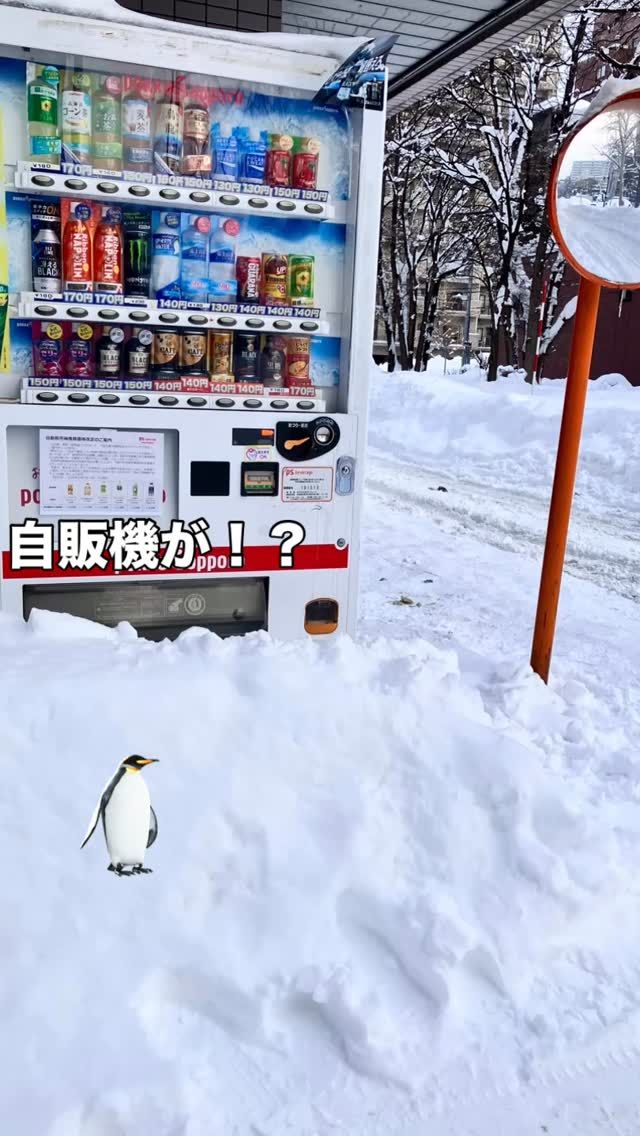 アワーズワーク桑園横の自販機がー！？
雪におぼれそうです❄️
ギリギリ取り出せますが…❄️❄️❄️
雪に埋もれそうになりながらも、元気に営業中ですよ！
❄️見学も受付中〜❄️
#就労継続支援b型 #札幌 #福祉 #雪 #自販機