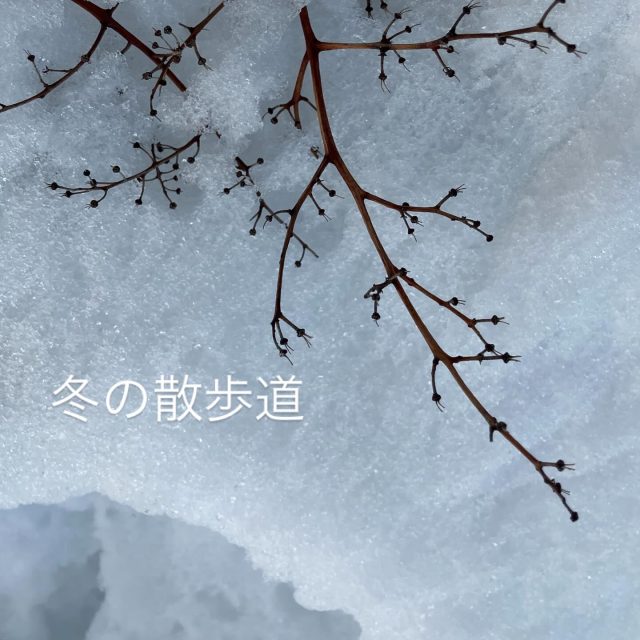 冬の散歩中アワーズワーク桑園です♪
ミニ大通りの最近を写真でお知らせしてみます📷

たまには冬の散歩も良いものです。
お家でぬくぬくしてないで、外に出てみませんか？

#雪だるま #散歩 #冬#雪 #福祉サービス
