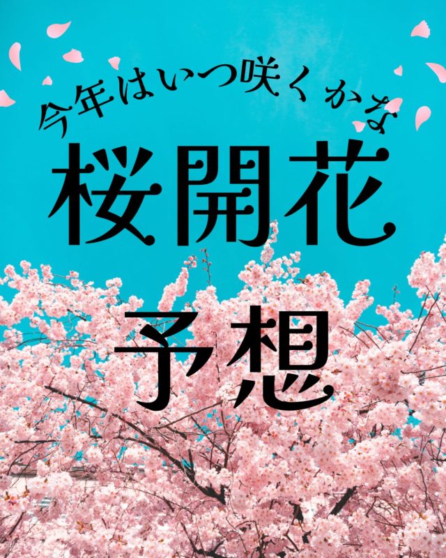 みなさんこんにちは😃
アワーズワーク札幌中央です‼️

あんなにあった雪があっという間に溶けてしまいましたね❄️

少し早いですが利用者さんと一緒に桜の開花予想クイズを行なっています🌸

今年の桜はいつ咲くか皆さんも一緒に考えてみてください😊
大森

#就労支援
#桜
#アワーズワーク札幌中央
#春
#開花予想